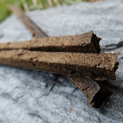 Encens bio - Matins de Lumière - Eucalyptus et Menthe pour cet encens dynamisant et plein de vitalité