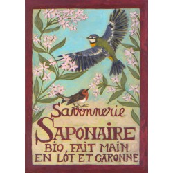 Carte postale Savonnerie Saponaire